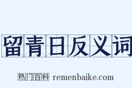 留青日反义词是什么意思的图片